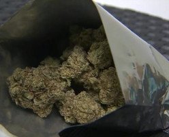 Травы не желаете? Все 184 члена Парламента от либеральной партии получат марихуану по почте