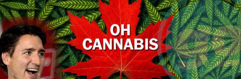 в канаде легализована марихуана