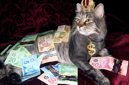 5 способов экономить в Канаде на каждодневной основе