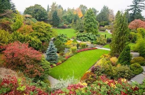 Парк королевы Елизаветы (Queen Elizabeth Park)