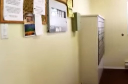 КАНАДСКАЯ МЕЧТА. ЖИЛЬЁ СРЕДНЕГО КАНАДЦА. ИЗБУШКА В ЛЕСУ ?