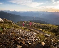 Луга Блэккомб (Blackcomb Meadows)