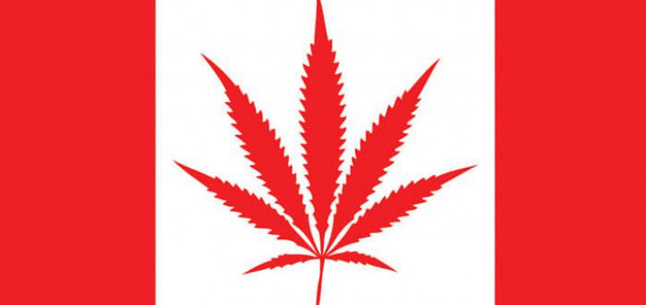 когда легализуют марихуану в канаде