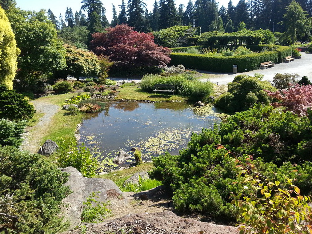 Ubc garden