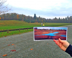 Региональный парк Олдергроув (Aldergrove Regional Park)
