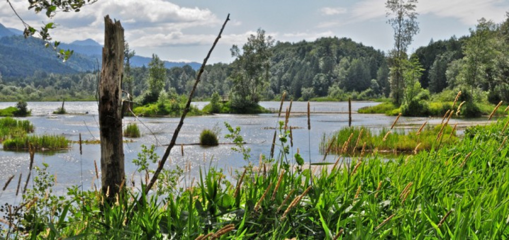 /place/cheam-720x340.jpg