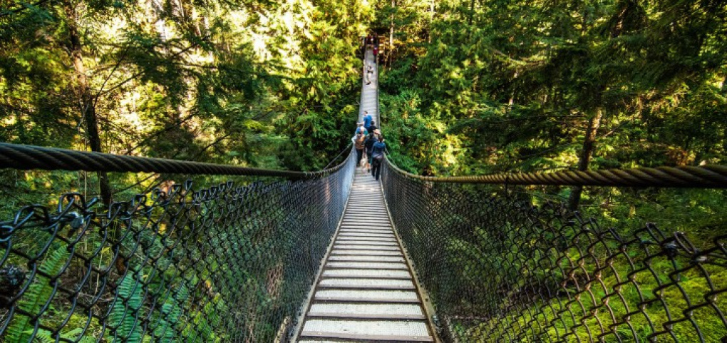 /place/lynn-canyon-park-720x340.jpg