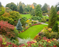 Парк королевы Елизаветы (Queen Elizabeth Park)