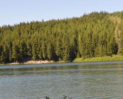 Тропа к озеру Лост лэйк (Lost Lake Nature Trail)