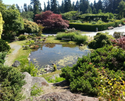 Ботанический сад в университете Британской Колумбии (UBC Botanical Garden)