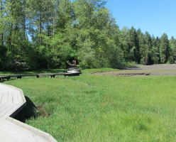 Маршрут Шорлайн (Shoreline Trail)