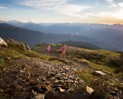 Луга Блэккомб (Blackcomb Meadows)