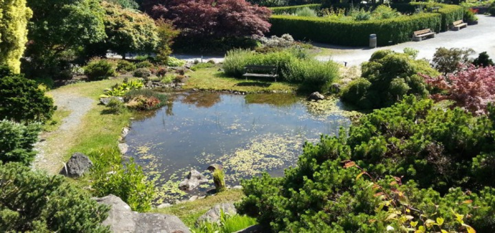 /place/botanicheskiy-sad-UBC-720x340.jpg