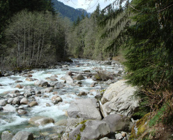 Тропа Лин Луп (Lynn Loop)