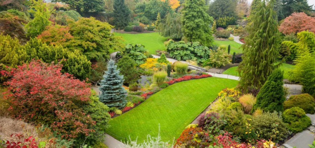 /place/Queen-Elizabeth-Park-720x340.jpg