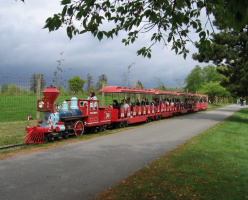 Миниатюрный Сафари поезд (Safari Express Miniature Train)