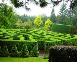 Ботанический сад Ван Дусена (VanDusen Botanical Garden)