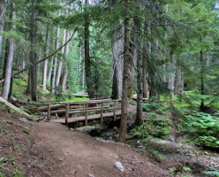Тропа к древним кедрам (Ancient Cedars Trail)