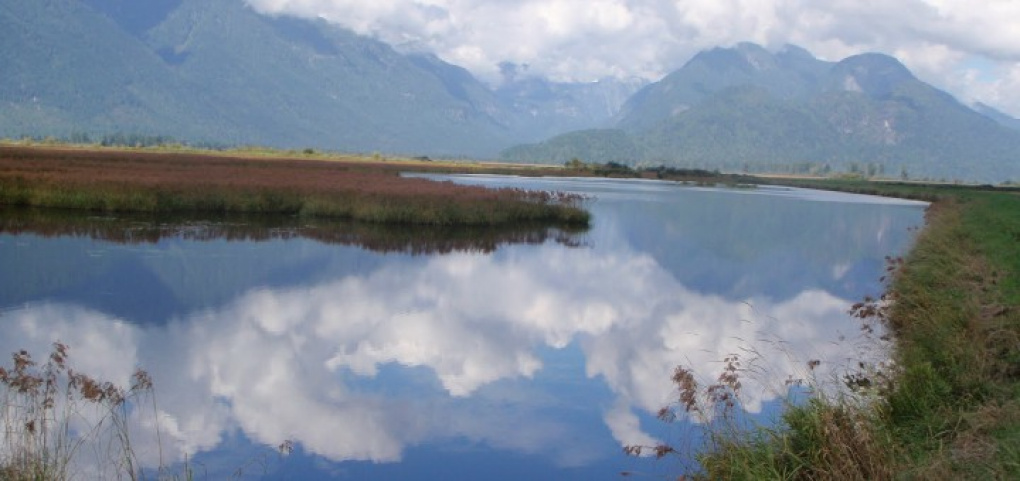 /place/zapovednik-pitt-720x340.jpg