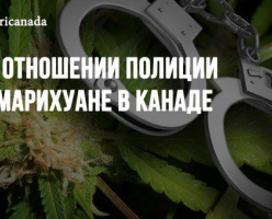 Об отношении полиции к марихуане в Канаде