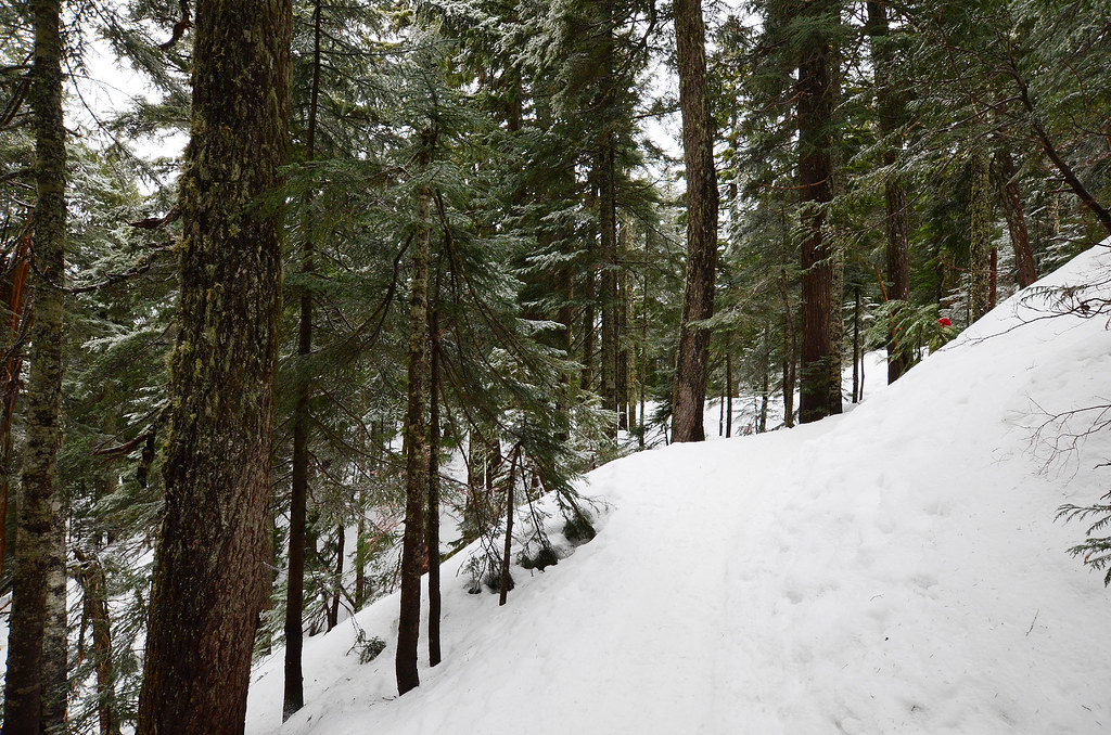Dog Mountain на Mount Seymour