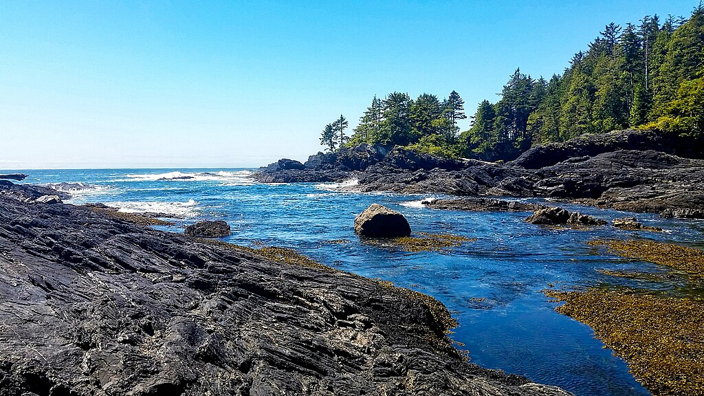 Botanical Beach