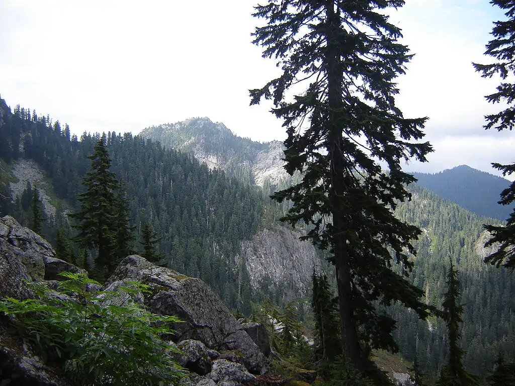 Гора Сеймур (Mount Seymour)