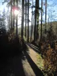 Кольцевой пеший маршрут Сэндеро Диез Вистас (Sendero Diez Vistas)