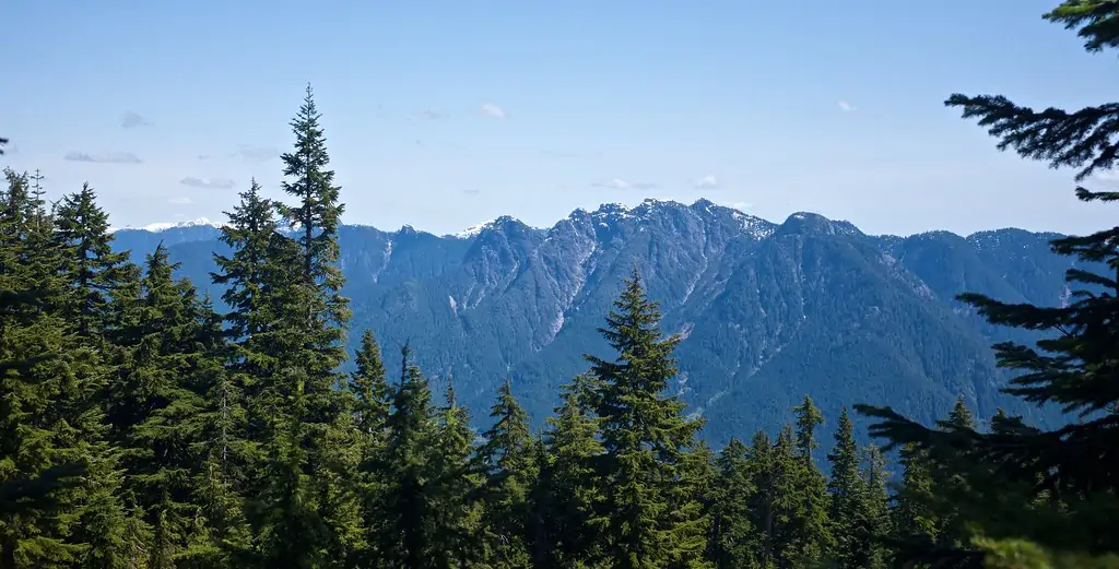 Hollyburn Mountain