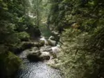 Парк каньйону Лінн (Lynn Canyon Park)