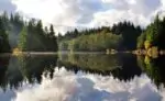 Озеро Райс (Rice Lake)