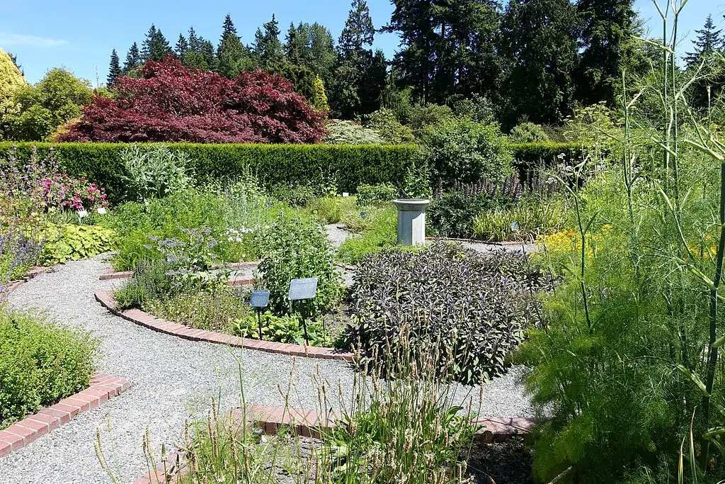 UBC Botanical Garden