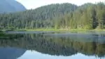 Региональный парк Миннекада (Minnekhada Regional Park)