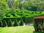 Ботанічний сад Ван Дусена (VanDusen Botanical Garden)