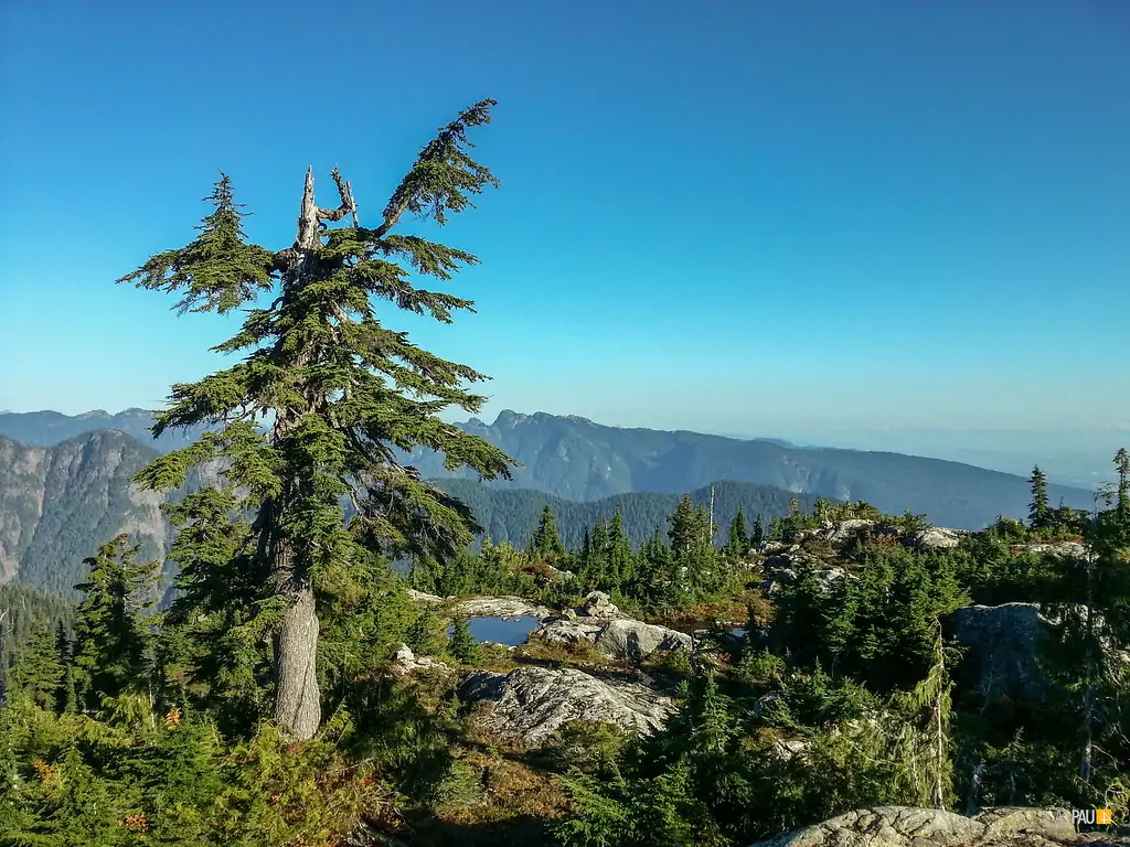 Гора Гоат (Goat Mountain)