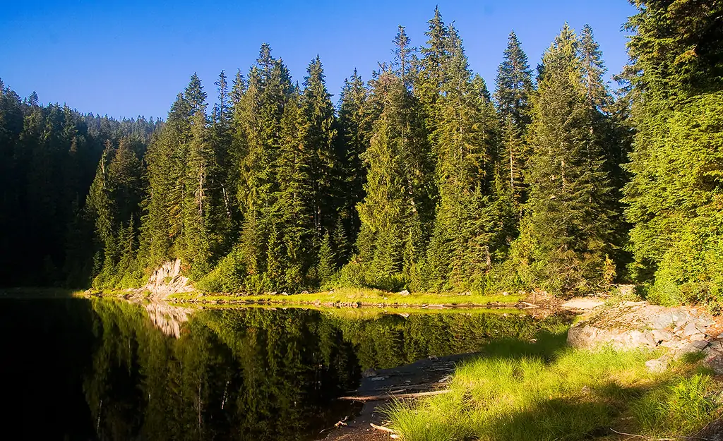 Озеро Голди (Goldie Lake)