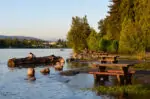 Derby Reach Regional Park