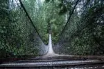The Lynn Canyon Suspension Bridge