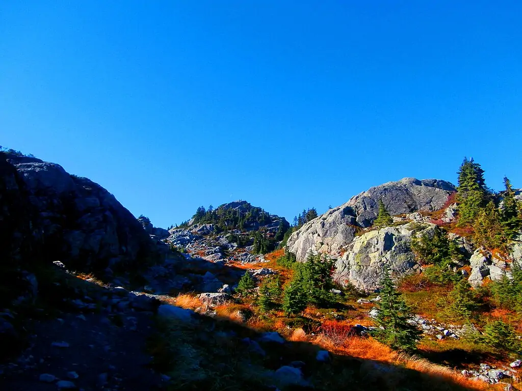 The Lions Binkert Trail