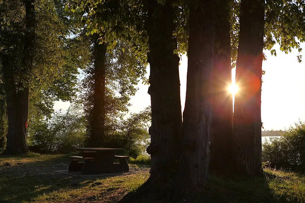 Deas Island Regional Park