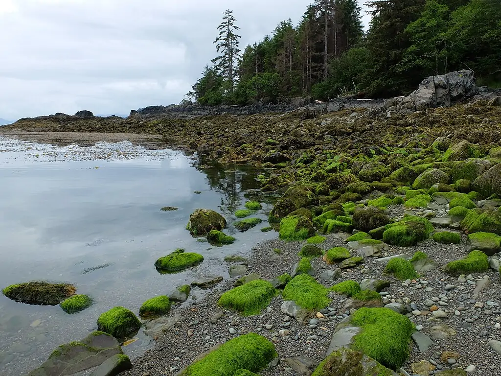 Гвайї Хаанас (Gwaii Haanas)