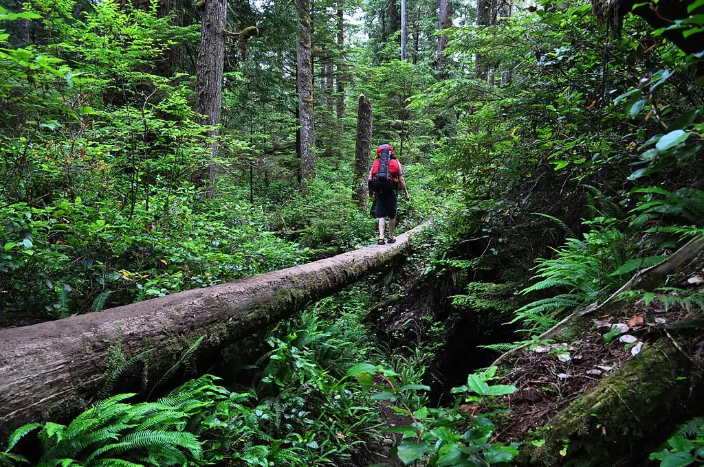 West Coast Trail, Британская Колумбия