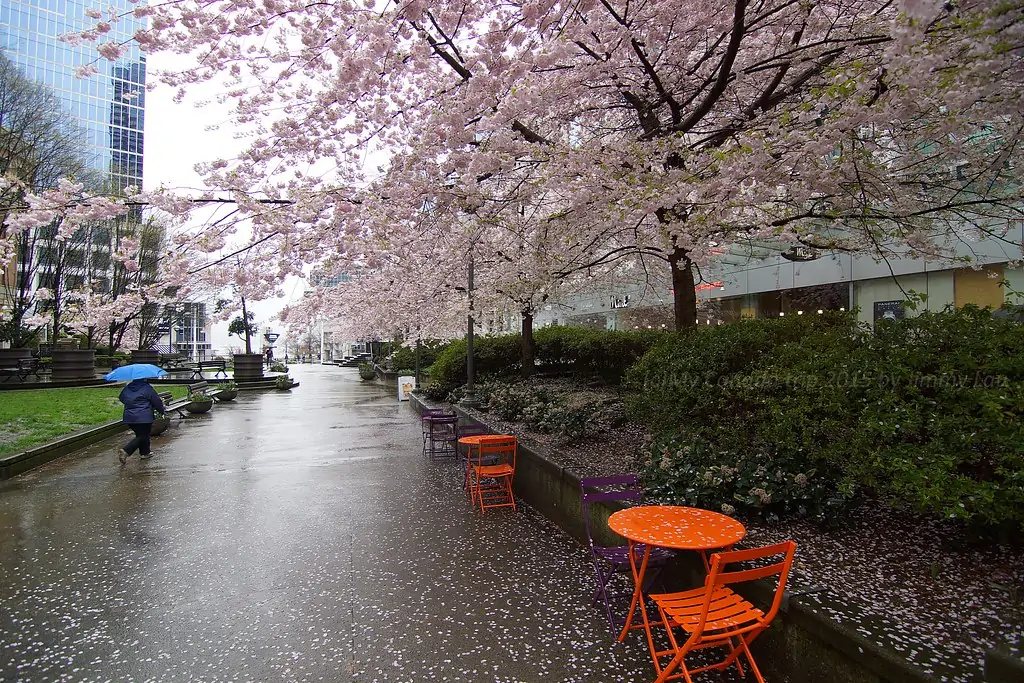 Буррард стрит, станция Скайтрейн (Burrard Street Skytrain Station)