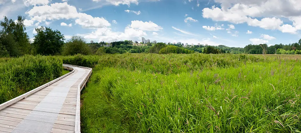 Парк Дир Лэйк (Deer Lake Park)