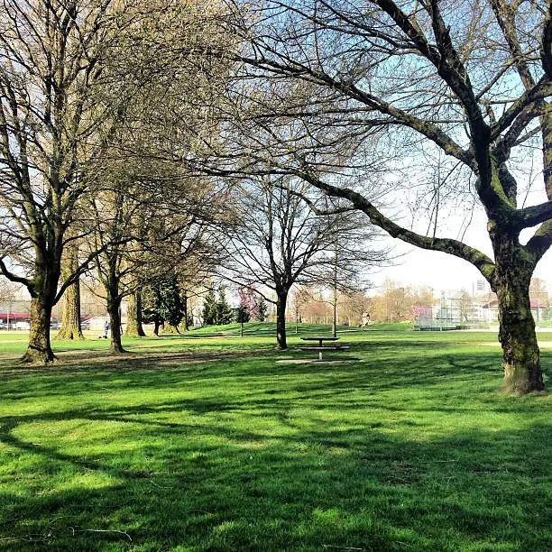 Strathcona Linear Park