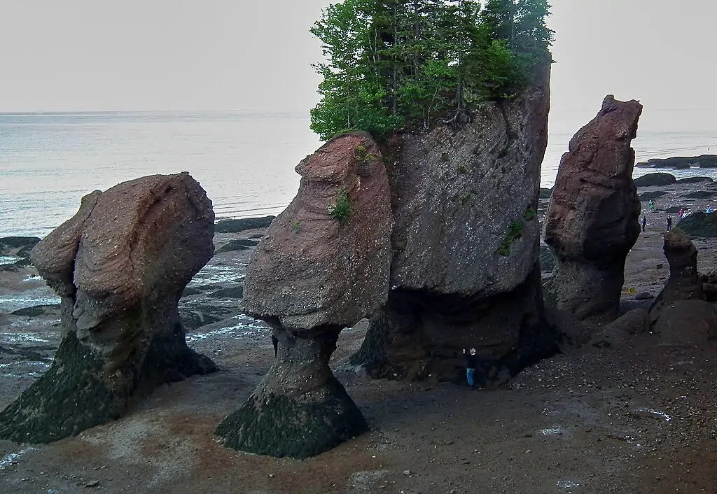 Bay of Fundy, Нью-Брансуик