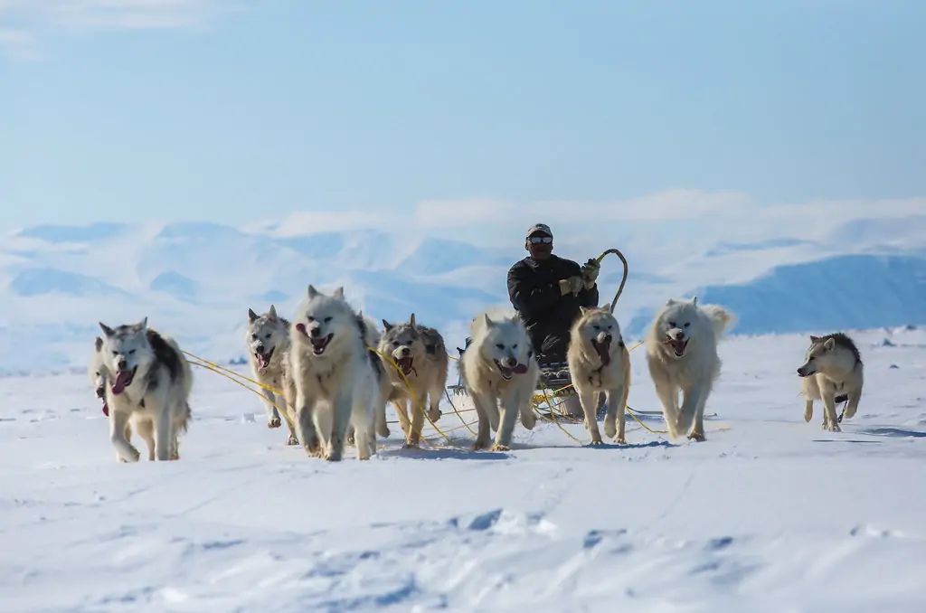 Sundogs Sled Excursions, Саскачеван