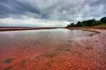 Природа Канады: чудеса, от которых захватывает дух (ФОТО)