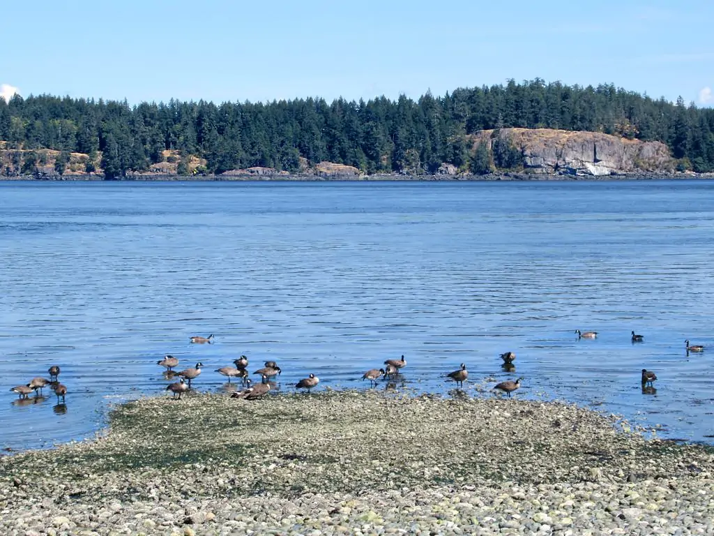 о. Квадра (Quadra Island)