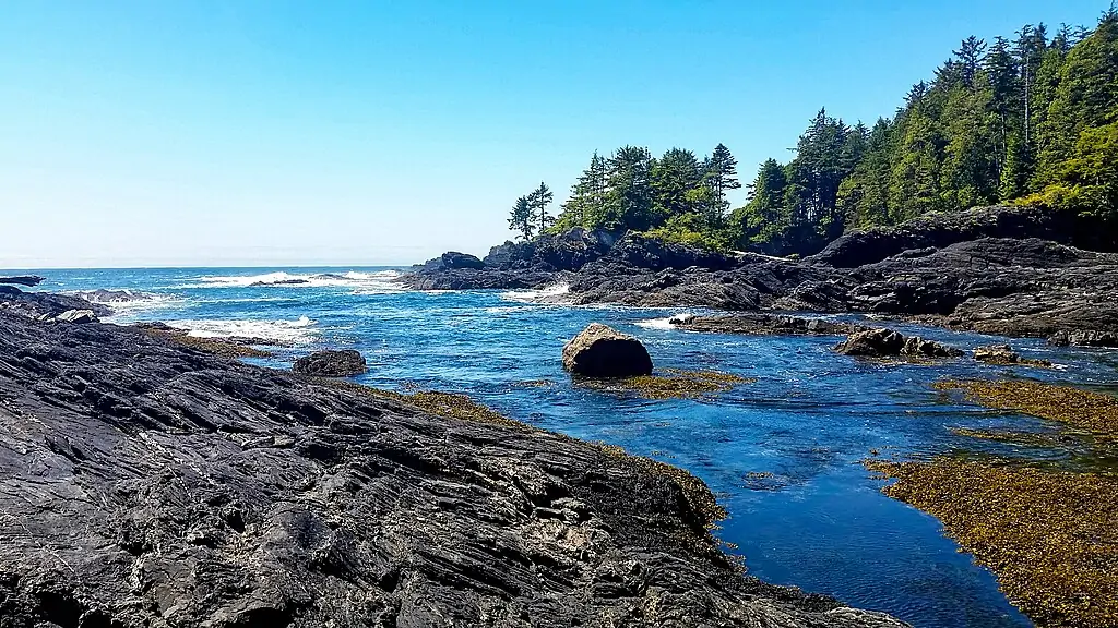 Botanical Beach